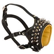 Staffordshire Bull Terrier Muzzle Leather Spiked and Studded