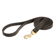 Classic Staffy Dog Lead with Brass Hardware