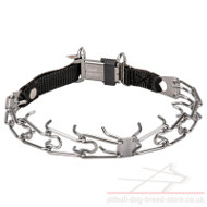 Stainless Steel Prong Dog Collar for Staffy Training