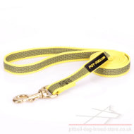 Strong Leash for Pitbull of Non-Slip Rubberized Yellow Nylon