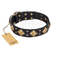 "Fancy-Schmancy" FDT Artisan Studded Dog Collar in Black