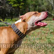 Stylish Dog Collar Leather 3 Rows of Nickel Pyramids for Pitbull