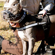 Reflective Dog Harness for Pitbull Training and
Walking