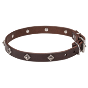 Dog Collar with Stars of Narrow Width for Walking