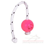 Top-Matic Fun Ball SUPER SOFT for Small Staffy and Puppy