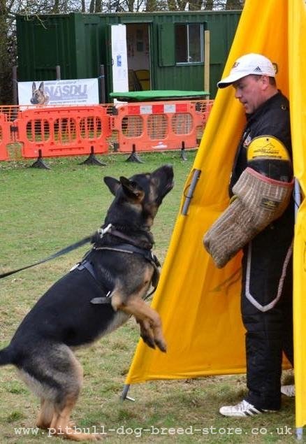 Professional Dog Trainer Is Using Our Dog Bite Sleeve