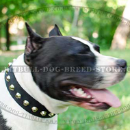 Nylon Dog Collar with Nickel Pyramids for Amstaff