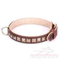 Wide Pitbull Collar of Brown Leather "Pyramid" with Brass Studs