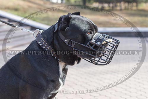 Rubberised Dog Muzzle