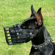 Wire Cage Dog Muzzle